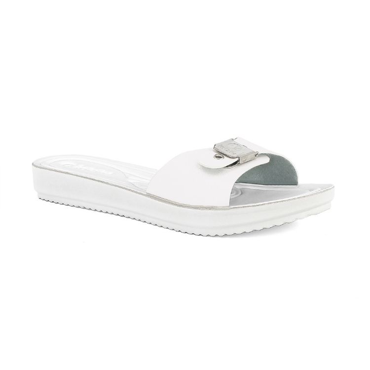 Image de Mule de plage evergreen colorée - bm72