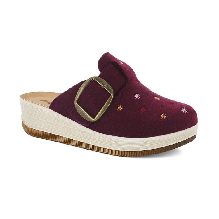 Immagine di PANTOFOLE STELLINE COLORATE - GC45